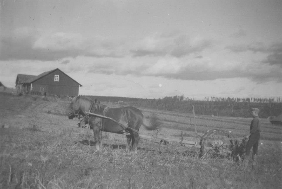 Пейппола имение Юхо Табермана 1938-39 поля и дом.jpg