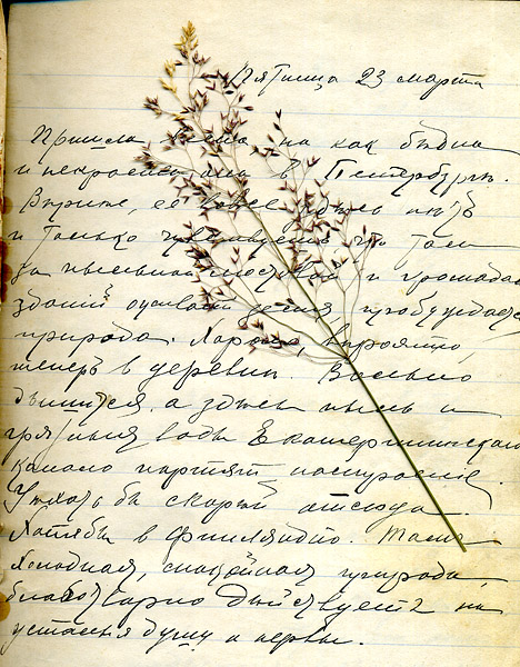 Дневник неизвестной барышни. 1907 год