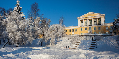 Zelenogorsk winter2011 1