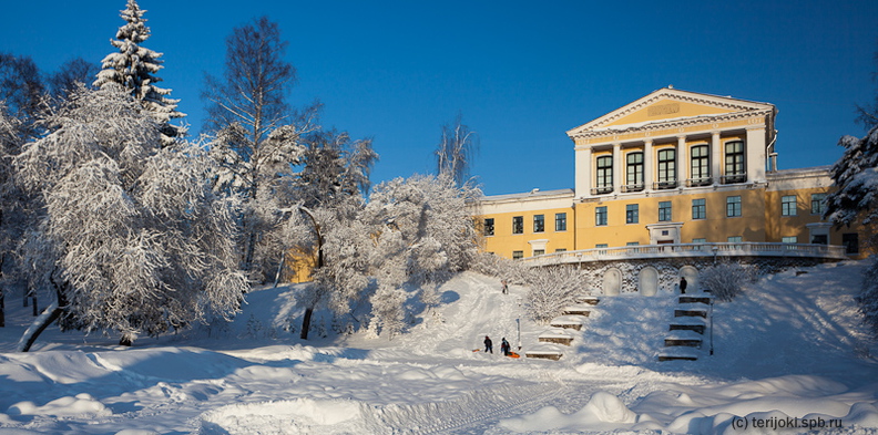 Zelenogorsk_winter2011-1.jpg