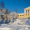 Zelenogorsk winter2011 1