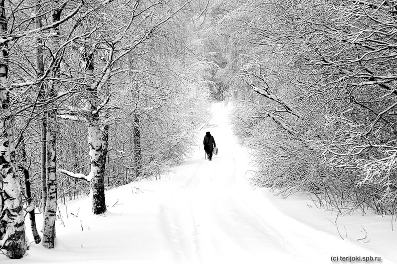 winter_path.jpg
