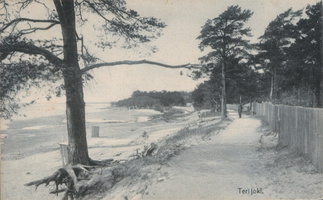 Териоки. Около 1910. (5)