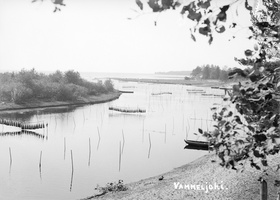 Река Ваммельйоки (Черная речка) при впадении в Финский залив.