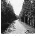 KiT_pics_1913-26.jpg