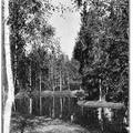 KiT_pics_1913-29.jpg