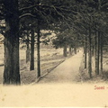 sr_Vammelsuu-1912-01a.jpg
