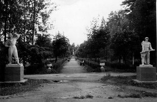 Братская могила в Зеленогорске. Июль 1961.  (2)