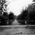 Братская могила в Зеленогорске. Июль 1961.  (2)