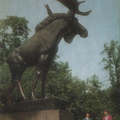 11. Скульптура "Лось" в парке имени В.И.Ленина