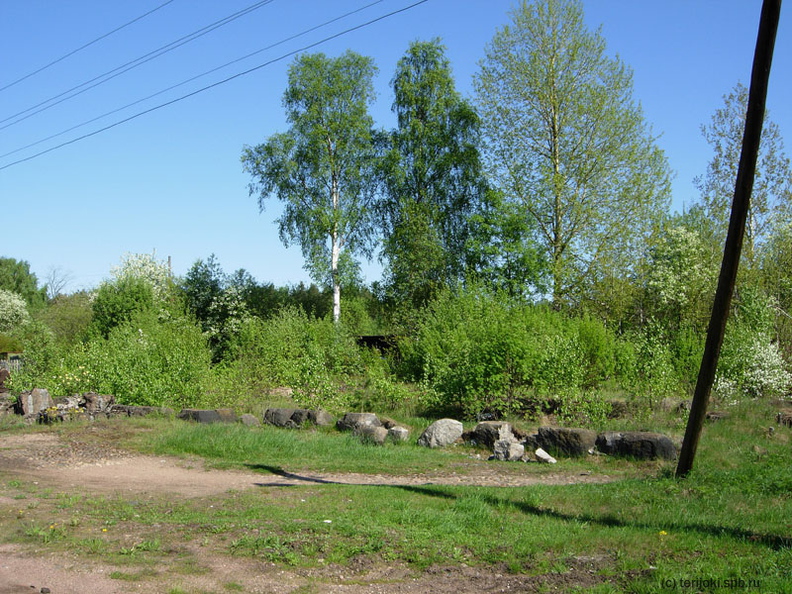 Paltsevo_2010-1.jpg