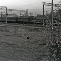 Sosnovo_1989-07