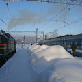 vp_Sosnovo_2010-17