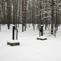 1. Вход на финское кладбище в Моноле.