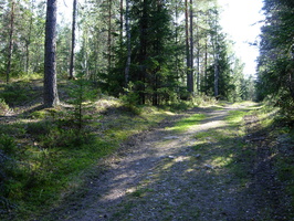 Lounatjoki-13.jpg
