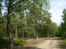 Lounatjoki-17.jpg