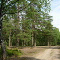 Lounatjoki-17.jpg
