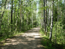 Lounatjoki-2.jpg