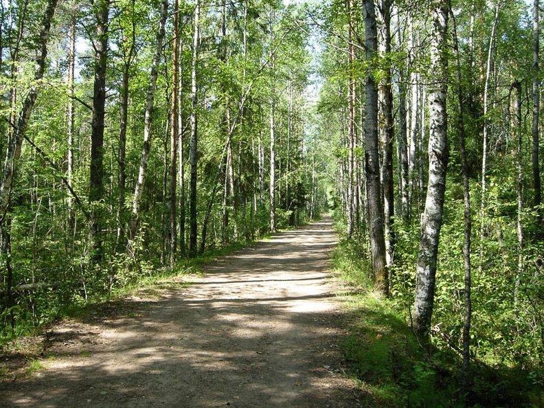 Lounatjoki-2.jpg
