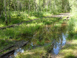 Lounatjoki-3.jpg