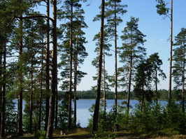 Lounatjoki-7.jpg