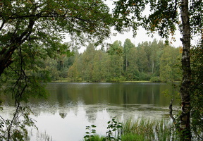 Sakkola-Noitermaa-3.jpg