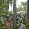 Sakkola-Noitermaa-5.jpg