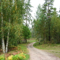 Sakkola-Noitermaa-8.jpg