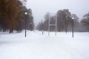 Зима 2011-2012 гг.