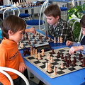 Jan2015 chess-01
