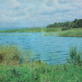 Пейзаж у озера Разлив.