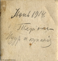 vg 04r Terijoki Berlovich 1914