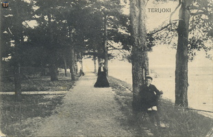 aist Terijoki-115 1913