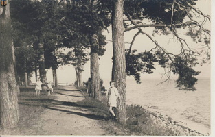 Терийоки, променад - аллея вдоль берега моря. Середина 1920-х гг.