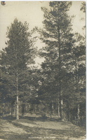 aist Kuokkala-44a 1909