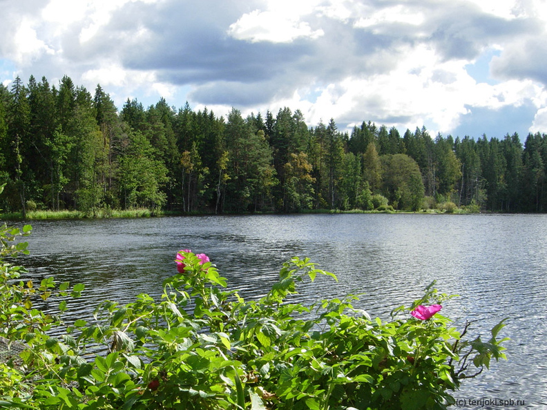 Озеро Малое Лебяжье.JPG