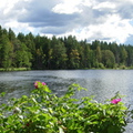 Озеро Малое Лебяжье