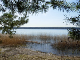 Суходольское озеро в Громово