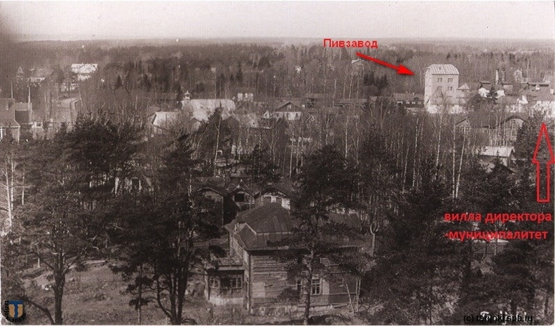 панорама terijoki_jpk-15  1930е справа вверху пивзавод и вилла директора (муниципалитет).jpg