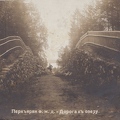 os Perkjarvi Gungerburg 1914-01a