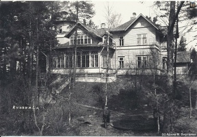 5-2 Kuokkala Krjutchkov villa from south 193x