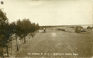 Оллила. Дорога по берегу моря. 1913 г.
