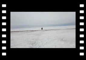 Прогулки зелёного медвежонка. №69, Зеленогорск, 20.03.2021