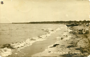 Оллила, берег моря. 1913 г.