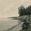 Терийоки, берег моря, 1913