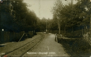 mesh Kuokkala Morskaya 1913