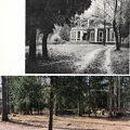 Дом Егеря главное здание вид сбоку 1939 и 2021г