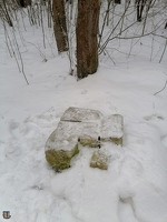 sr Avenarius gravestone-2