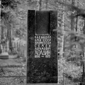 oitru Комарово кладбище 1976-02