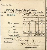 Разовый билет на 2 лошади и экипаж Терийоки-СПб 1870